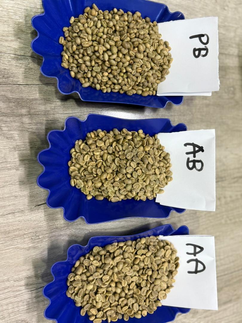 Brice quality inspection