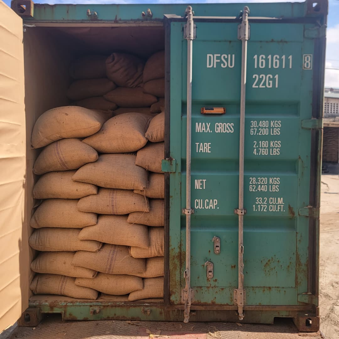 Export container loaded with produce